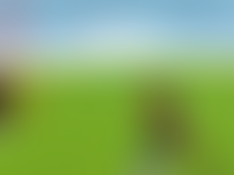 RPG Builder Mod: Visualizing Your NPC AI Behavior through Gizmos